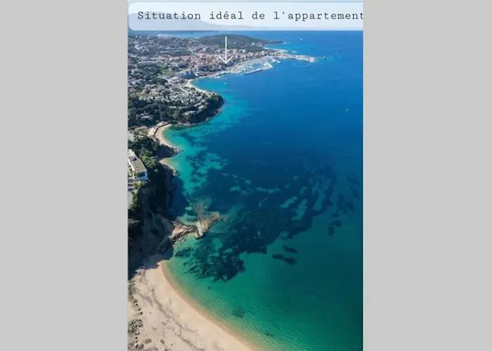 Apartment Location *
